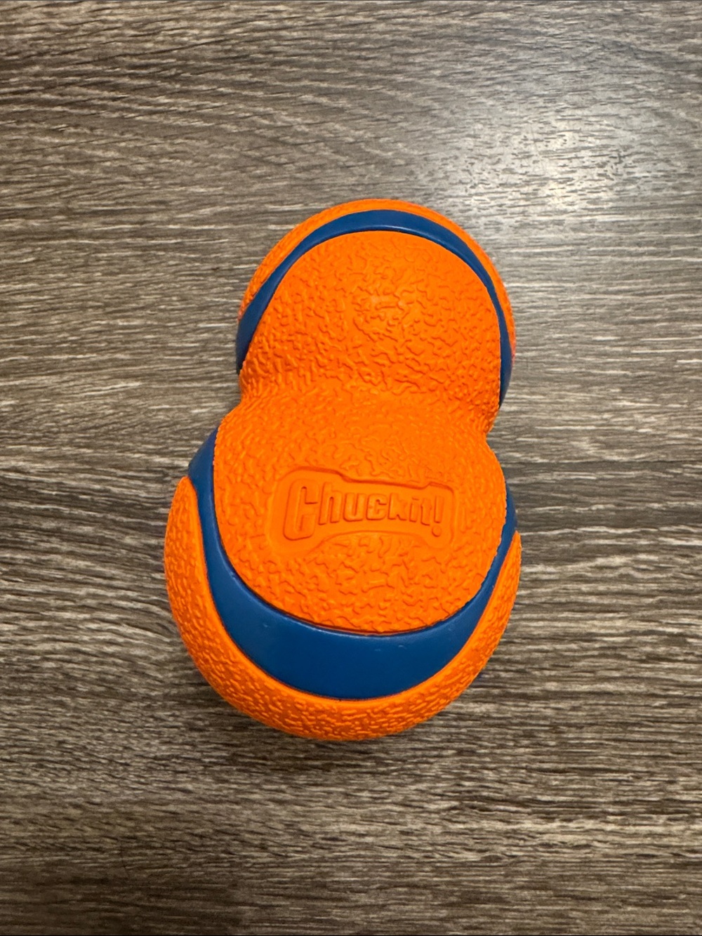 Puppy Play Pack No. 1 | Medium/Large Dog Toy Bundle | KONG + Chuckit + GoDog - Picture 3 of 4